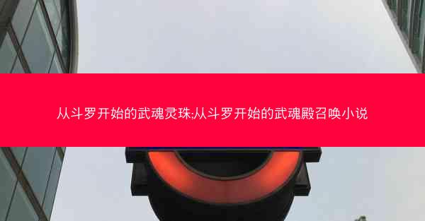 从斗罗开始的武魂灵珠;从斗罗开始的武魂殿召唤小说