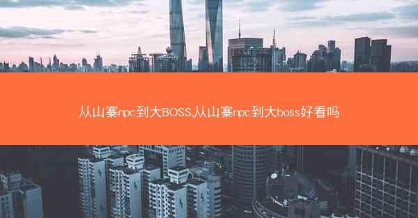 从山寨npc到大BOSS,从山寨npc到大boss好看吗