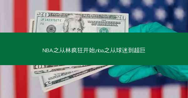 NBA之从林疯狂开始,nba之从球迷到超巨