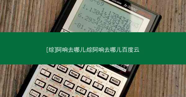 [综]阿响去哪儿;综阿响去哪儿百度云