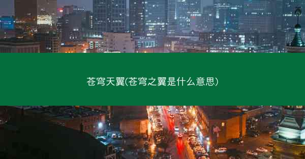 苍穹天翼(苍穹之翼是什么意思)