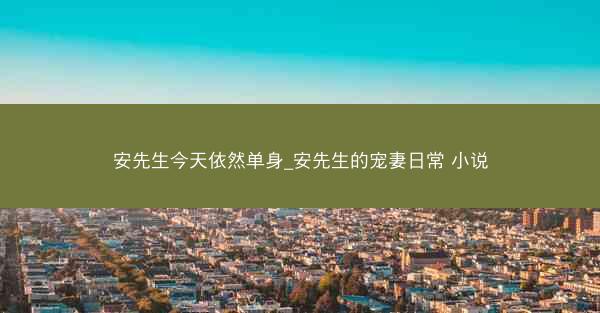 安先生今天依然单身_安先生的宠妻日常 小说