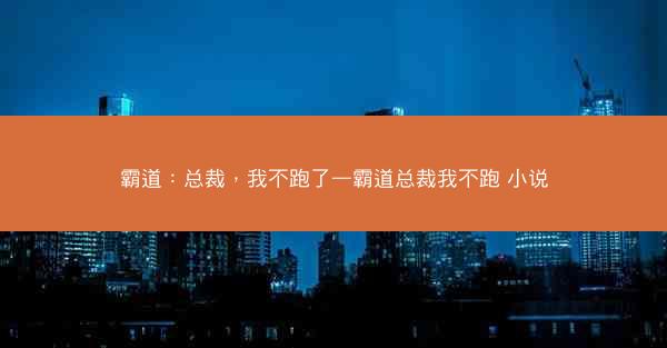 霸道：总裁，我不跑了—霸道总裁我不跑 小说