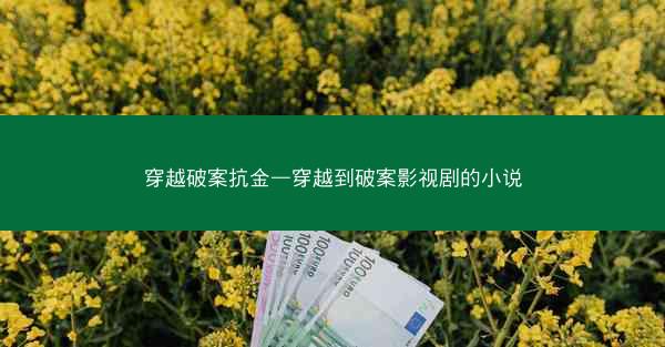 穿越破案抗金—穿越到破案影视剧的小说