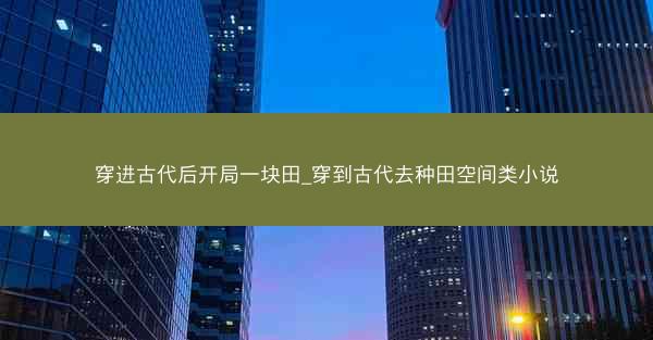 穿进古代后开局一块田_穿到古代去种田空间类小说