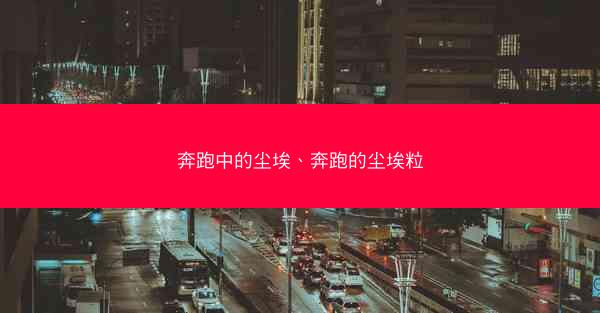 奔跑中的尘埃、奔跑的尘埃粒