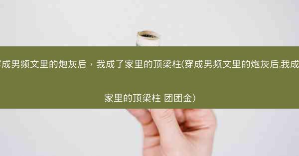 穿成男频文里的炮灰后，我成了家里的顶梁柱(穿成男频文里的炮灰后,我成了家里的顶梁柱 团团金)