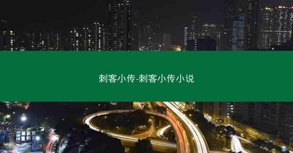 刺客小传-刺客小传小说