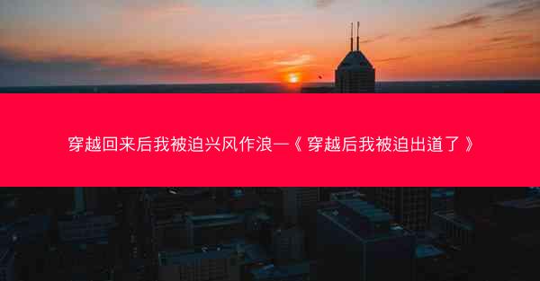 穿越回来后我被迫兴风作浪—《穿越后我被迫出道了》