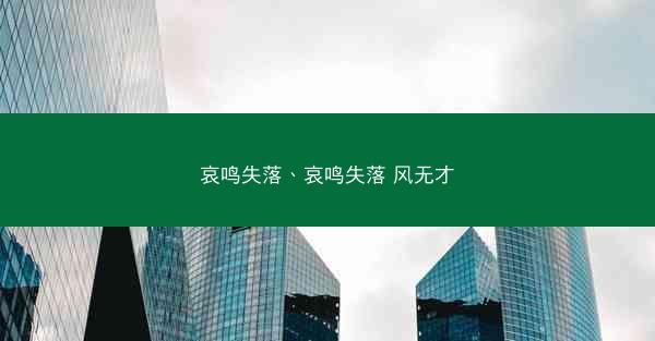哀鸣失落、哀鸣失落 风无才