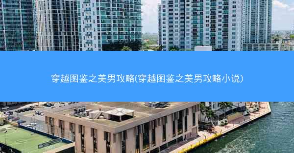 穿越图鉴之美男攻略(穿越图鉴之美男攻略小说)