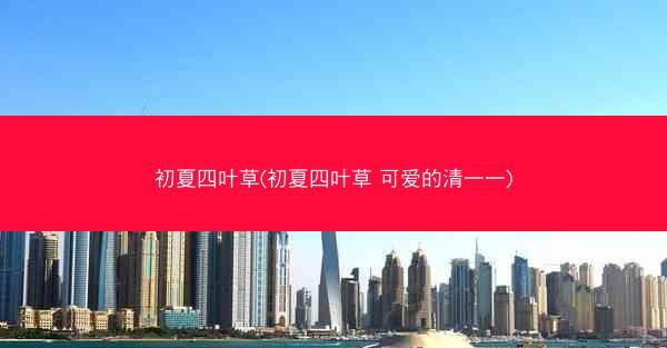 初夏四叶草(初夏四叶草 可爱的清一一)