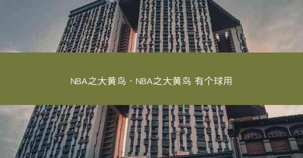 NBA之大黄鸟、NBA之大黄鸟 有个球用