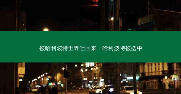 被哈利波特世界吐回来—哈利波特被选中