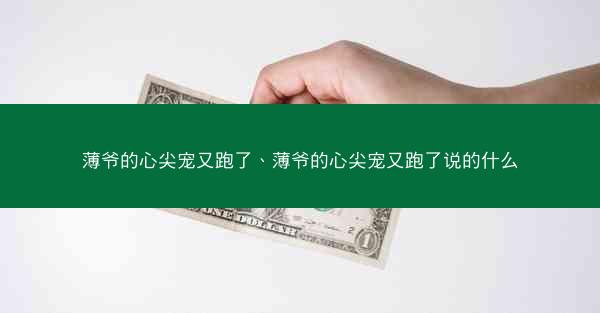 薄爷的心尖宠又跑了、薄爷的心尖宠又跑了说的什么