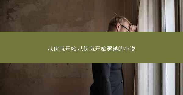 从侠岚开始;从侠岚开始穿越的小说