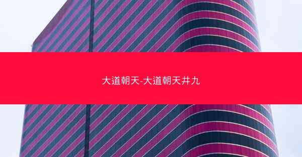 大道朝天-大道朝天井九