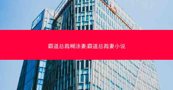 霸道总裁糊涂妻;霸道总裁妻小说