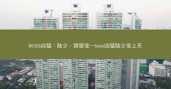 BOSS凶猛：陆少，狠狠宠—boss凶猛陆少宠上天