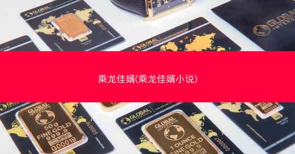 乘龙佳婿(乘龙佳婿小说)