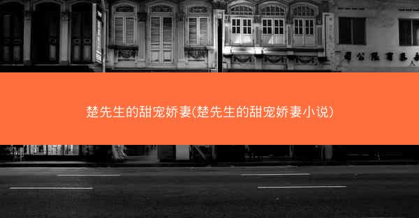 楚先生的甜宠娇妻(楚先生的甜宠娇妻小说)