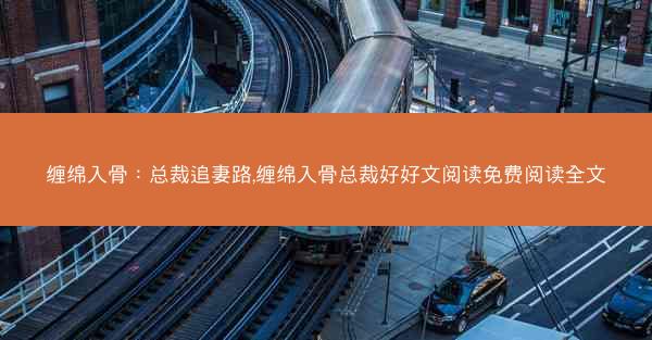 缠绵入骨：总裁追妻路,缠绵入骨总裁好好文阅读免费阅读全文