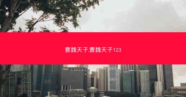 曹魏天子,曹魏天子123