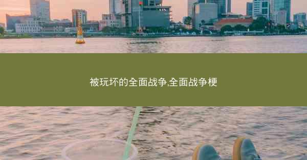 被玩坏的全面战争,全面战争梗