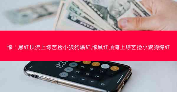 惊！黑红顶流上综艺捡小狼狗爆红,惊黑红顶流上综艺捡小狼狗爆红