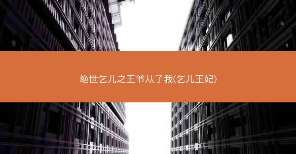 绝世乞儿之王爷从了我(乞儿王妃)