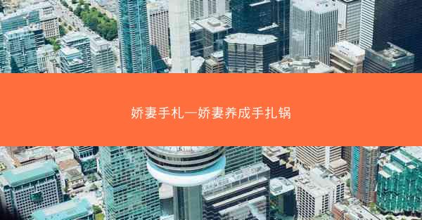娇妻手札—娇妻养成手扎锅