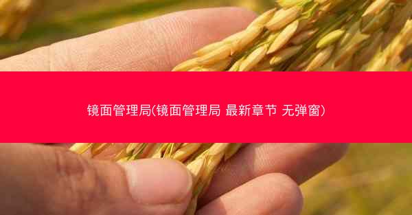 镜面管理局(镜面管理局 最新章节 无弹窗)