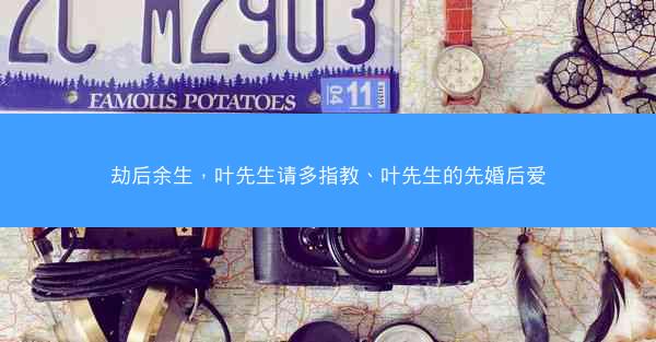 劫后余生，叶先生请多指教、叶先生的先婚后爱