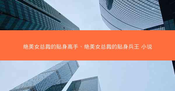 绝美女总裁的贴身高手、绝美女总裁的贴身兵王 小说