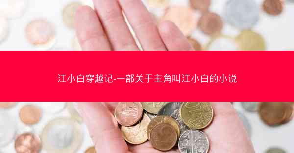 江小白穿越记-一部关于主角叫江小白的小说