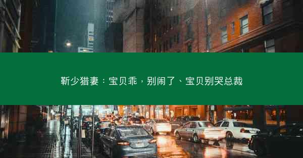 靳少猎妻：宝贝乖，别闹了、宝贝别哭总裁