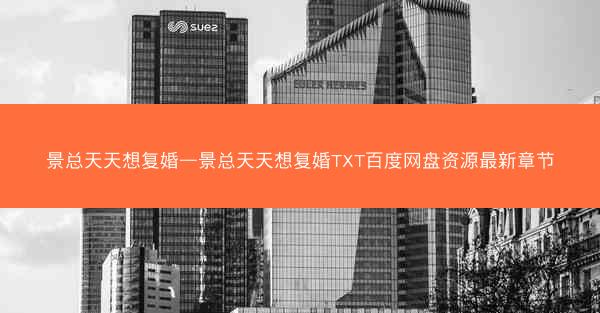 景总天天想复婚—景总天天想复婚TXT百度网盘资源最新章节